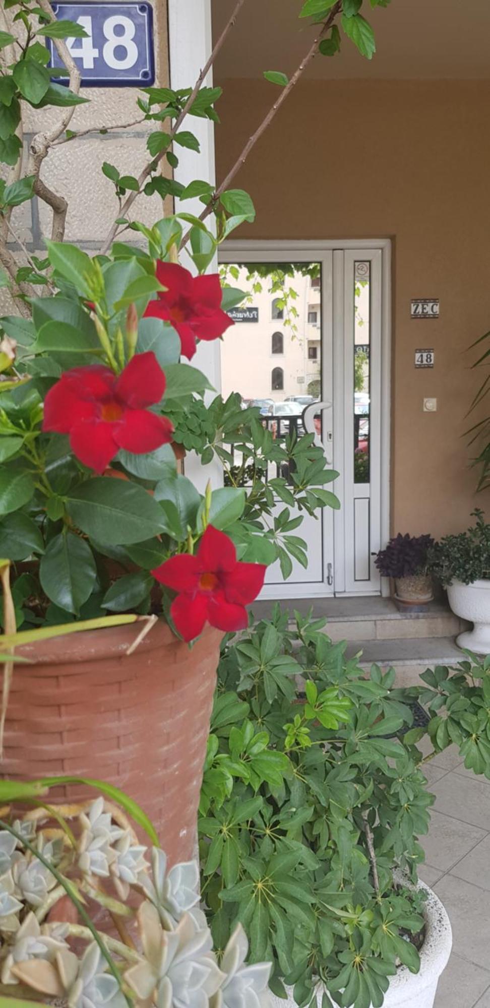 Villa Pedja Zec Exclusive 3+ Μπούντβα Εξωτερικό φωτογραφία
